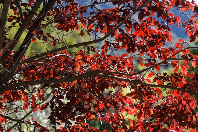 Famille et amis-JUN19-018